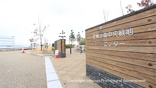 尼崎の森中央緑地（平成28年3月）